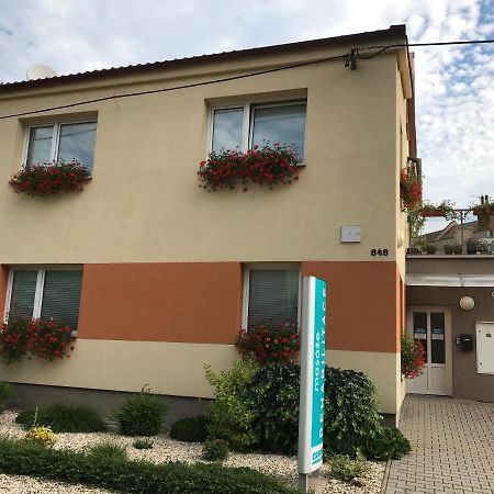 Apartment Corriger Ústí nad Orlicí Bagian luar foto
