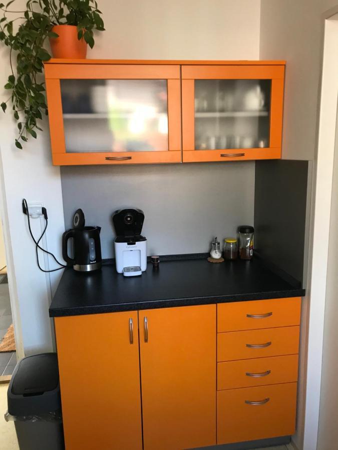 Apartment Corriger Ústí nad Orlicí Bagian luar foto