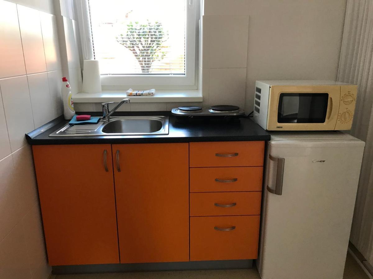 Apartment Corriger Ústí nad Orlicí Bagian luar foto